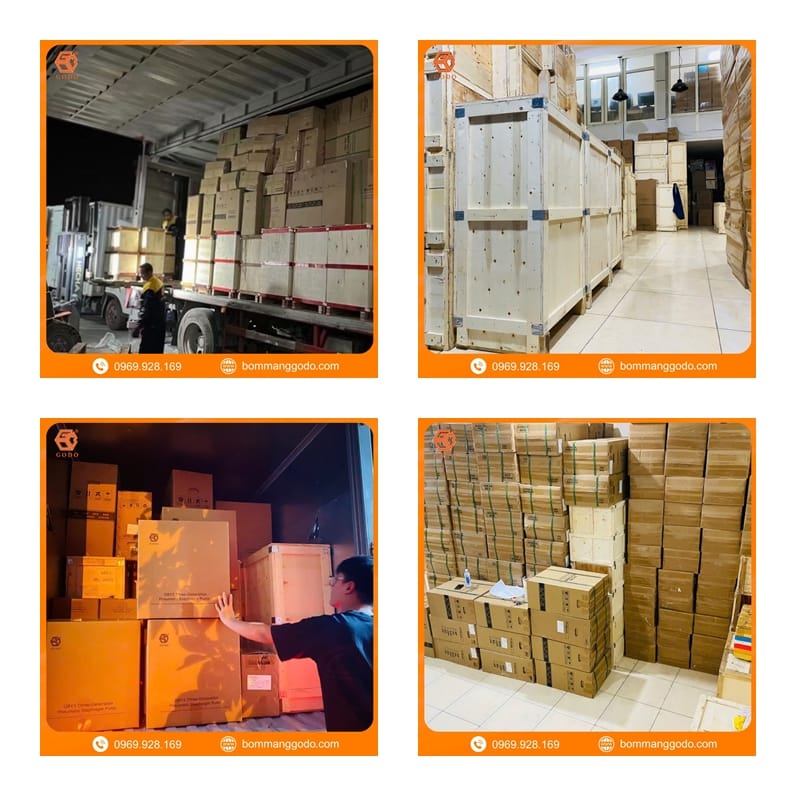 GODO Việt Nam nhập hàng mới tháng 8