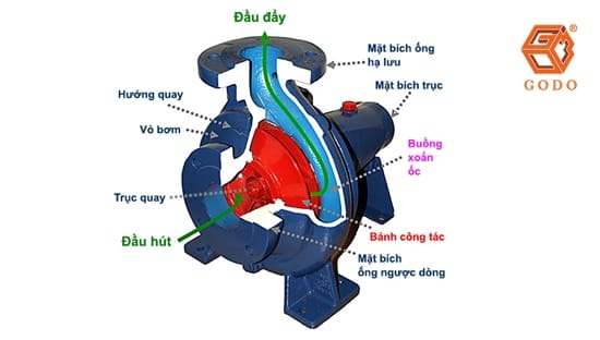 cấu tạo phần buồng bơm máy bơm nước