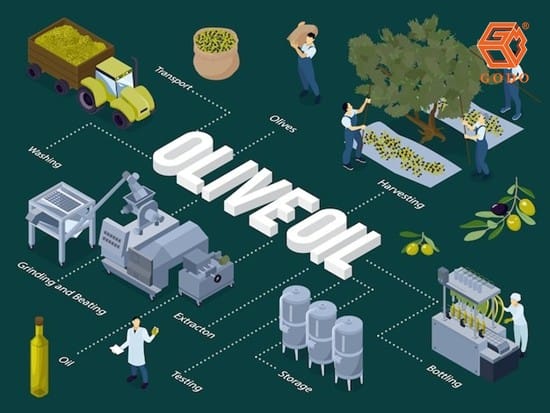 bơm dầu thực vật