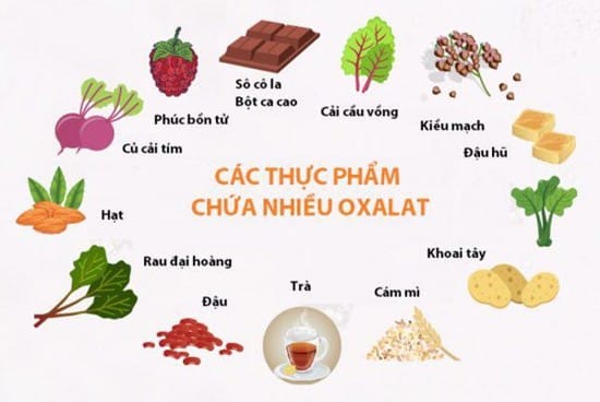 Axit oxalic trong tự nhiên